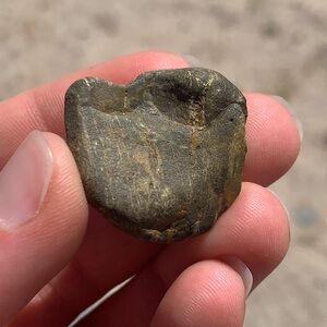 Epidote • Manifestation Crystal • New Mexico Rocks • Raw Minerals • Grounding •